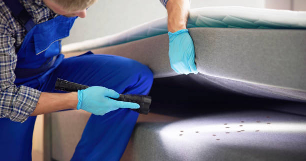 Best Best Pest Control Near Me  in Atasdero, CA