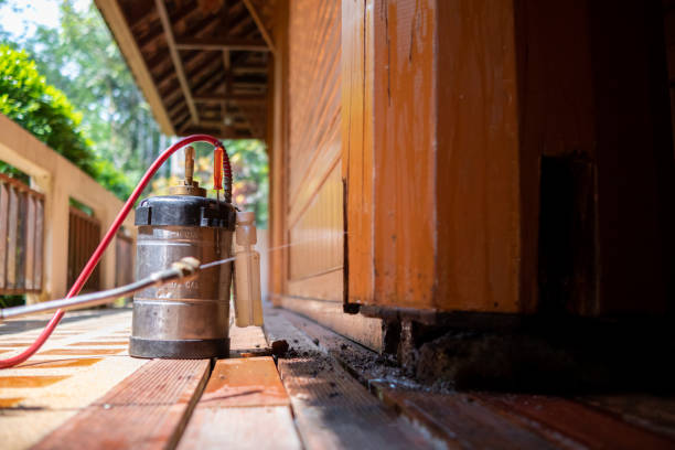 Best Emergency Pest Control  in Atasdero, CA